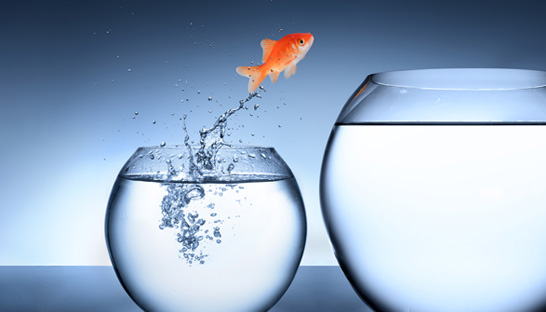 GCC talent eyeing fresh career opportunities and better compensation