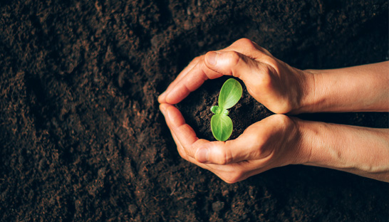 Broadstone launches small charity investment service