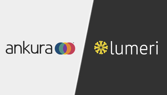 Ankura acquires organizational consultancy Lumeri