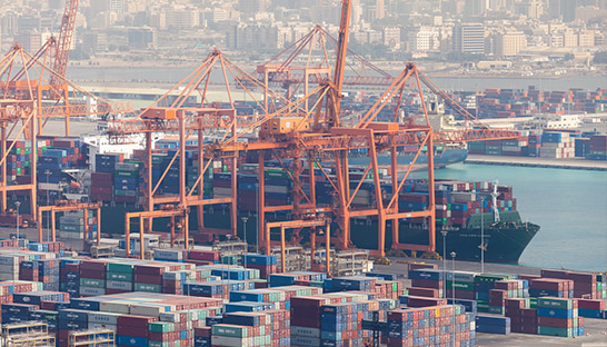 Analysis: The transformative journey of Saudi Arabia's exports