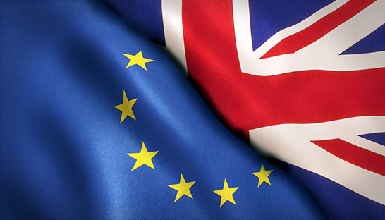 One-fifth of UK SMEs want to re-join EU