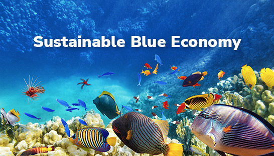 Emirates Nature-WWF to advance UAE's sustainable blue economy