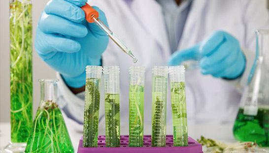 Saudi’s biotechnology and genomics sector set for strong growth