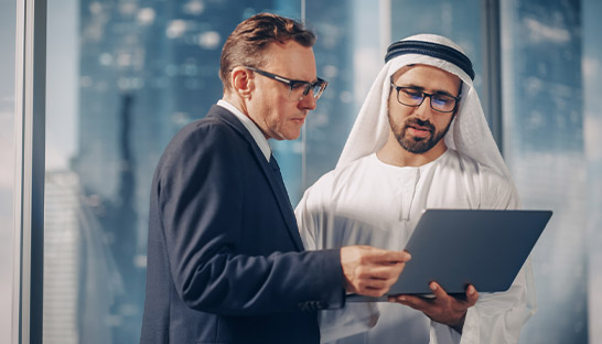 The most popular roles among MENA independent consultants