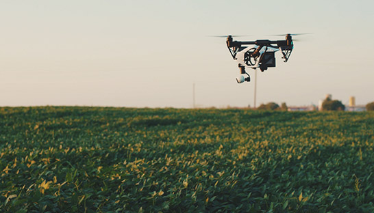 Moyo teams up with Dell to launch drone for crop disease detection