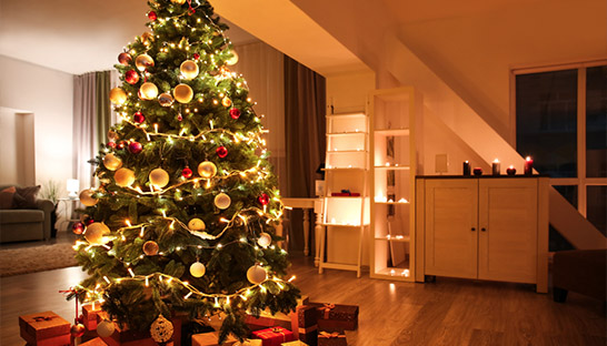 UK consumers weigh up more sustainable real Christmas trees