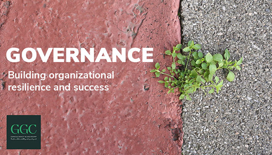 Governance as a cornerstone of organizational success and resilience