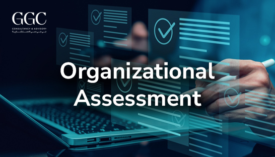 Quick Assessment: Rapidly pinpointing organizational improvement potential