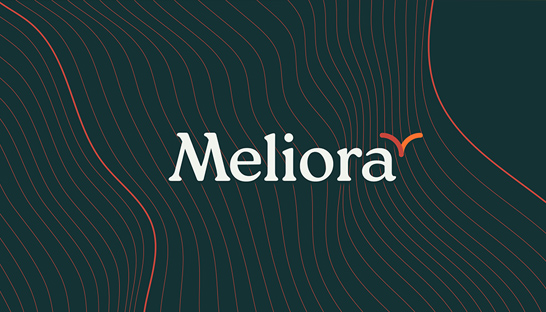 New international TMT advisory firm launches: The Meliora Company