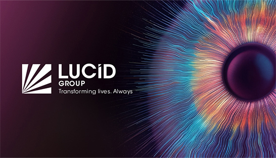 Lucid Group reorganizes consulting offering 
