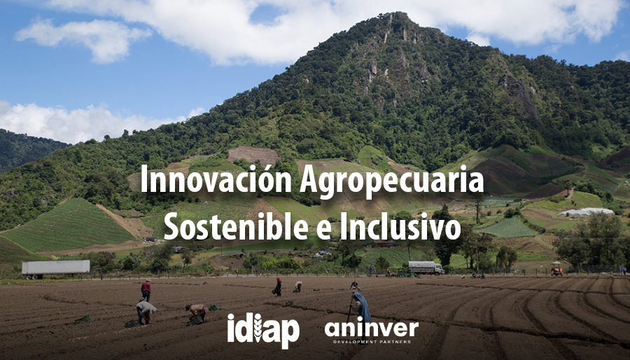 Aninver supporting smallholder farmers in Panama with sustainable and inclusive growth