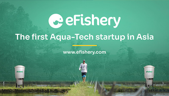 Indonesian unicorn eFishery hires FTI Consulting amid fraud allegations