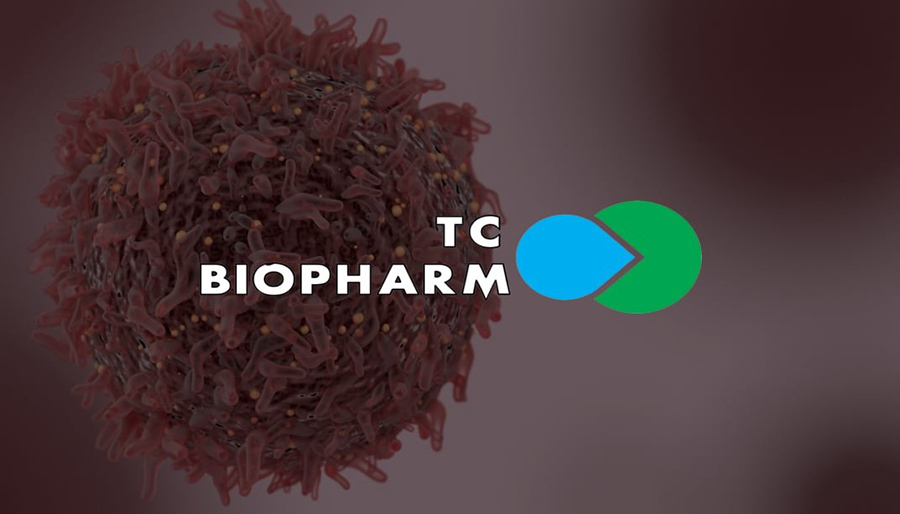 Alvarez & Marsal working on restructuring and sale of TC BioPharm