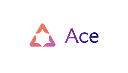 Consulting firm Ace + Company